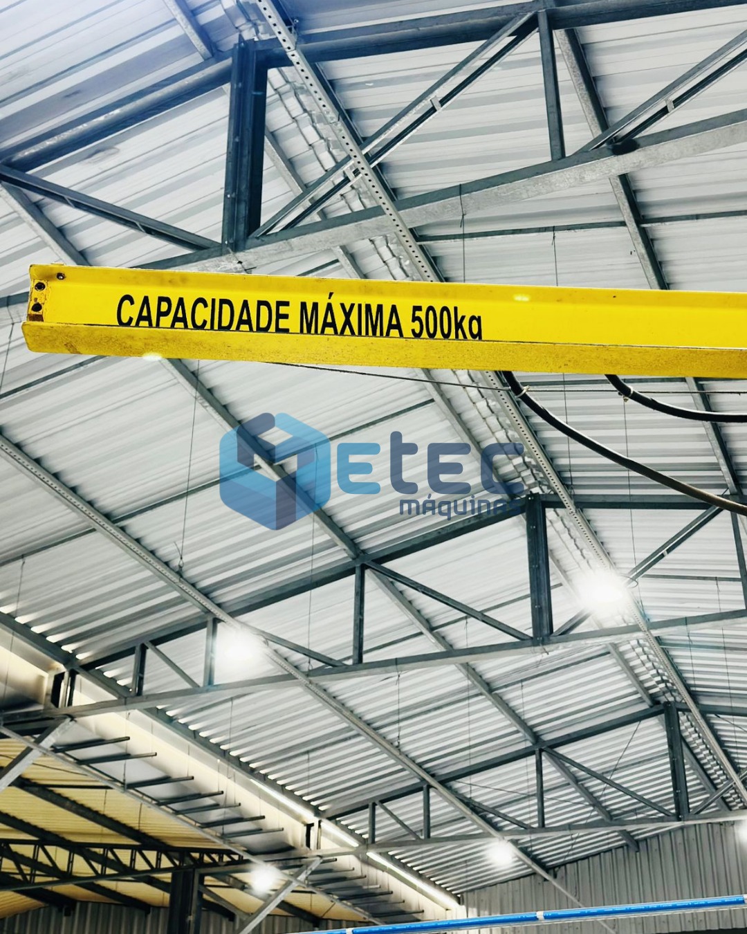 Braço Giratorio Talha Yale 500kg